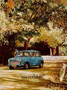 "incredible" brochure