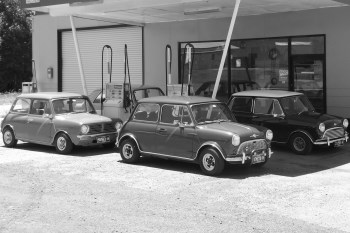 Australian Minis